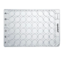 德國艾本德(Eppendorf)Cell Culture Plates,48-Well,無菌無熱原,無RNase和DNase,無人類和細菌DNA,無細胞毒素,未處理,0.5mL,60塊,獨立包裝